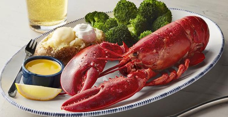 Redlobster Live Maine Lobster 1.25 lb